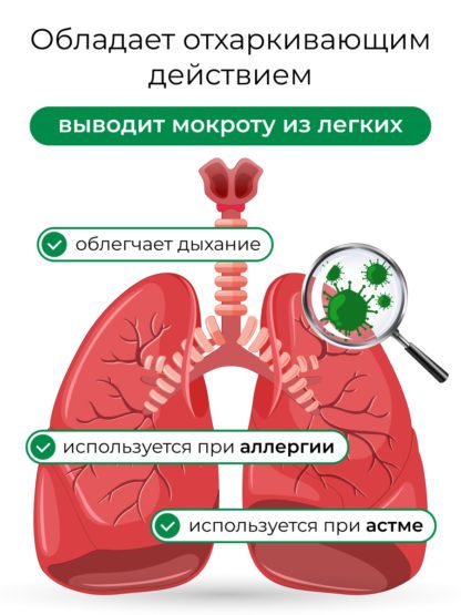 Босвеллия резиноид экстракт для суставов жкт и ода — изображение 13