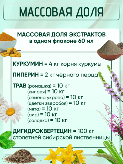 Куркумин экстракт пиперин Босвеллия 7 трав для ЖКТ — изображение 2