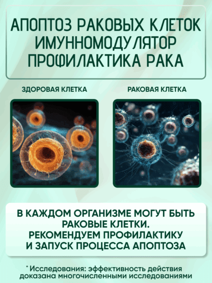 Куркумин экстракт пиперин Босвеллия 7 трав для ЖКТ — изображение 8